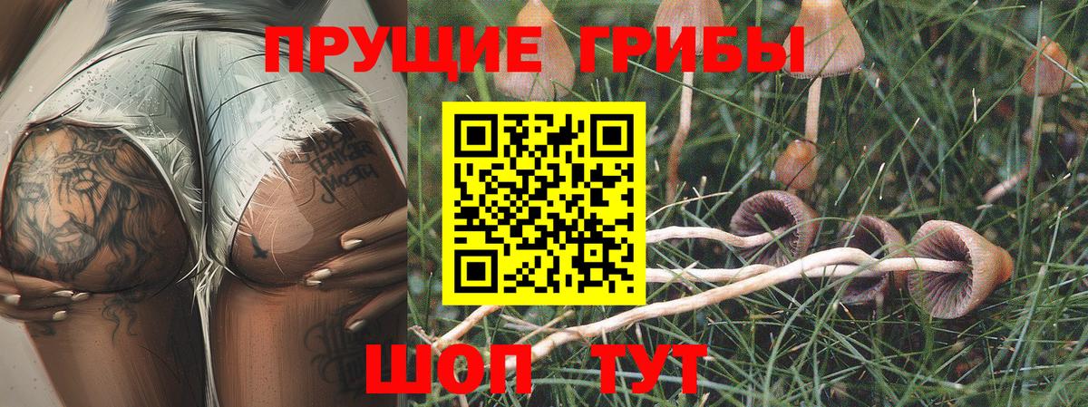 Галлюциногенные грибы Magic Shrooms  Вход с VPN  Псков 